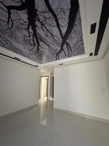 img-1