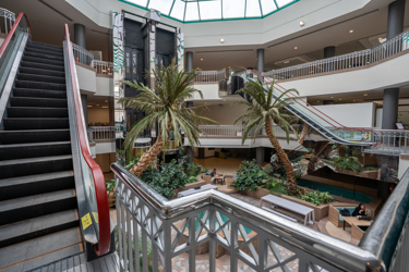 img-3