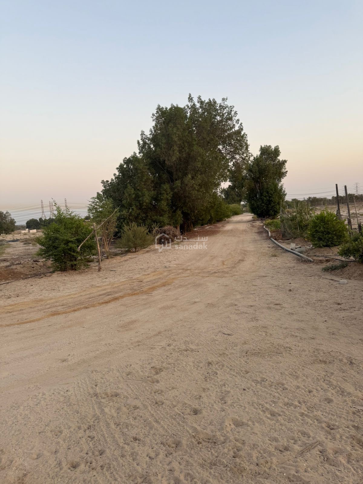 img-2
