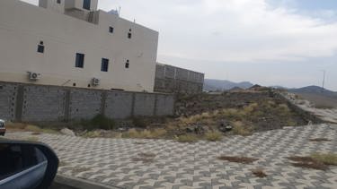 img-0