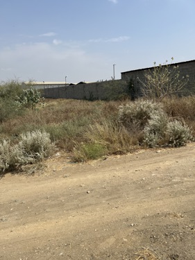 img-2