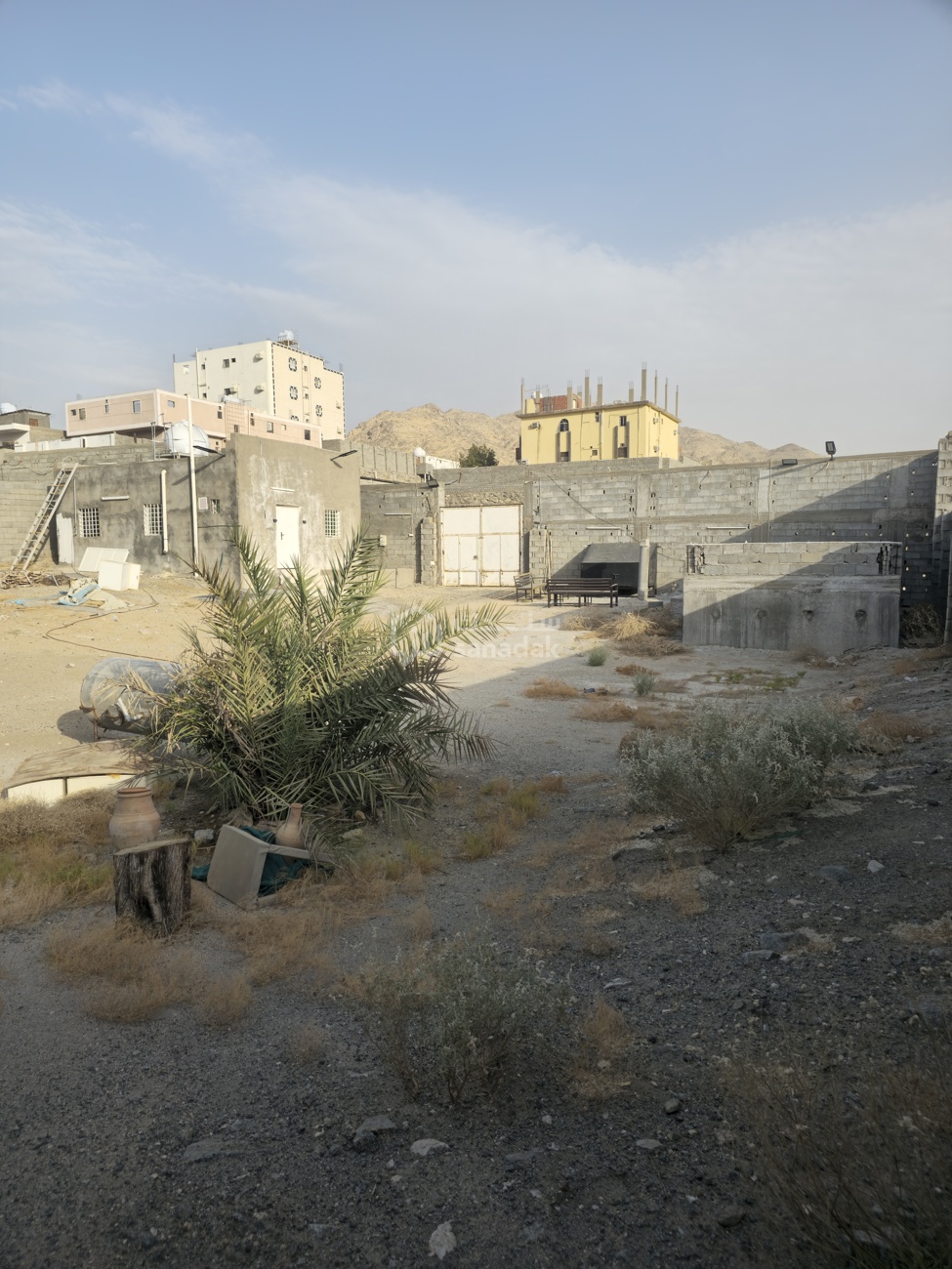 img-4