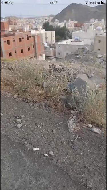 img-2