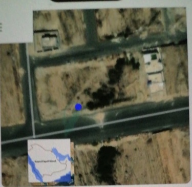 img-1